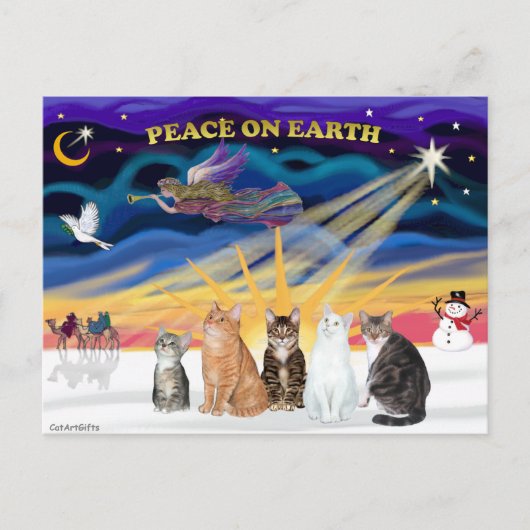 Xmas Sunrise - 五匹の猫 (AmSH) シーズンポストカード (正面)