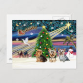 XmasMagicヨークシャーテリアトリオ シーズンポストカード (正面/裏面)