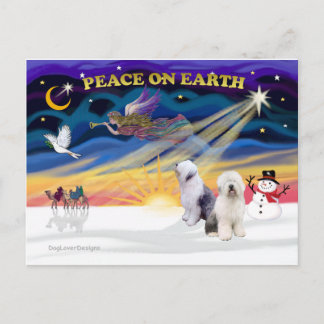 XmasSunrise-2歳英国の牧羊犬 シーズンポストカード