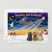 XmasSunrise-3コッカースパニエル犬 シーズンポストカード (正面/裏面)