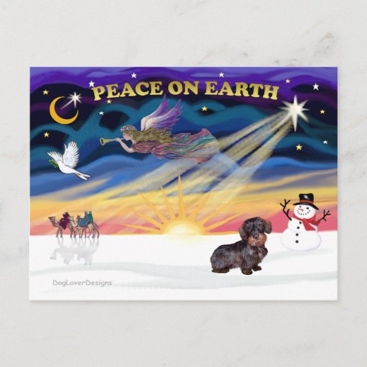 XmasSunrise-WireHaired Dachshund シーズンポストカード (正面)