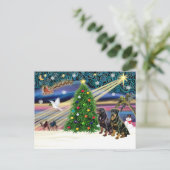 Xms魔法-2ロットワイラー シーズンポストカード (スタンド正面)