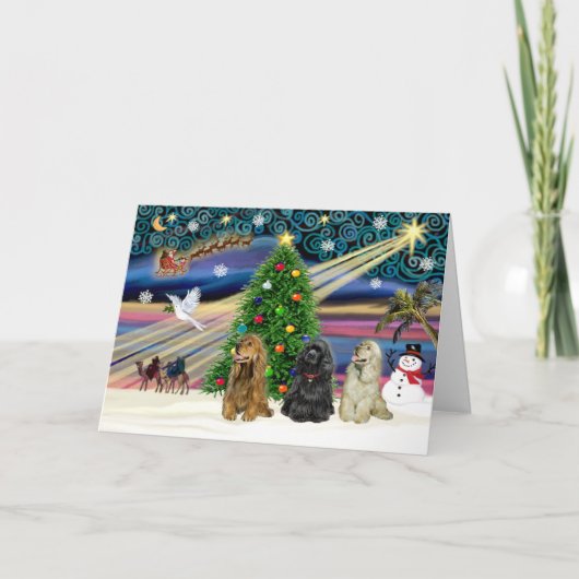 Xms魔法-3Cockers-blk-brwn-fawn シーズンカード (正面)