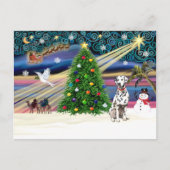 XmsMagic – ダルマチア ポストカード (正面)