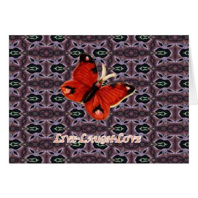 XNP008-251 (正面横)