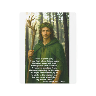 Xoe Celticwellによってグリーンガーブにベールを被ったドルイド メタルプリント