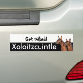 Xolitzcuintleのバンパーステッカー バンパーステッカー (車上)