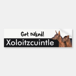 Xolitzcuintleのバンパーステッカー バンパーステッカー