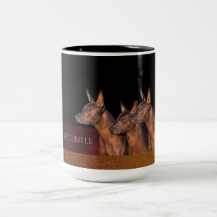 Xoloitzcuintleのマグ ツートーンマグカップ