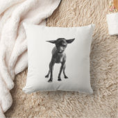 Xoloitzcuintleの枕 クッション (ブランケット)