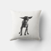 Xoloitzcuintleの枕 クッション (裏面)