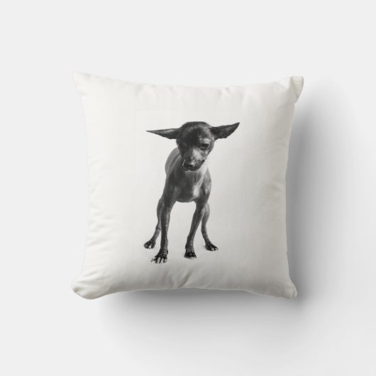 Xoloitzcuintleの枕 クッション (正面)