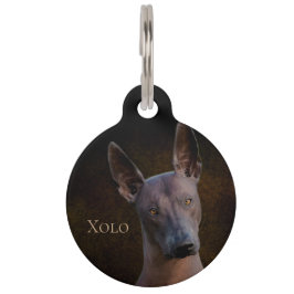 Xoloitzcuintle ペット ネームタグ