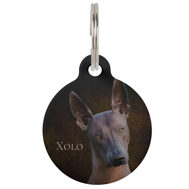 Xoloitzcuintle ペット　ネームタグ (正面)