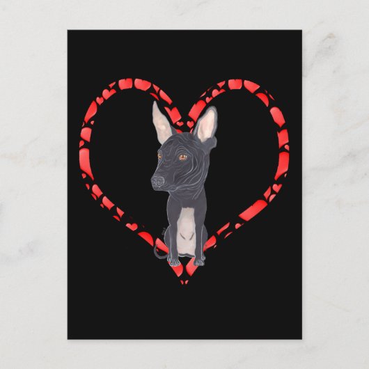 XOLOITZCUINTLE HEART シーズンポストカード (正面)