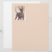 Xoloitzcuintli絵画's – かわいいオリジナルドッグアート (正面/裏面)