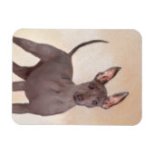 Xoloitzcuintli絵画's – かわいいオリジナルドッグアート マグネット (横)