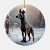 Xoloitzcuintli雪のクリスマスを許可 セラミックオーナメント (裏面)