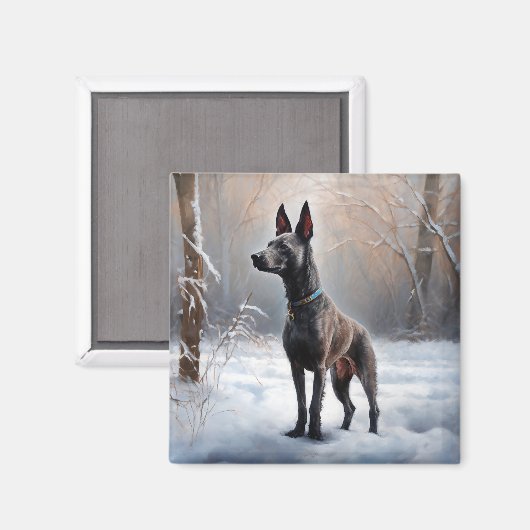 Xoloitzcuintli雪のクリスマスを許可 マグネット (正面/裏面)