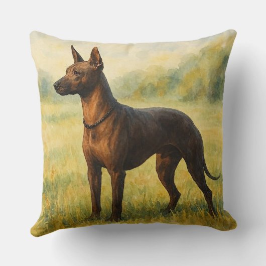 Xoloitzcuintli クッション (裏面)