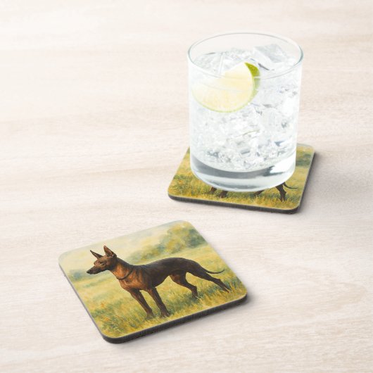 Xoloitzcuintli コースター (右側)