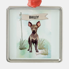 Xoloitzcuintli Watercolor Personalized Dog メタルオーナメント