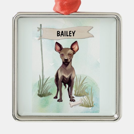 Xoloitzcuintli Watercolor Personalized Dog メタルオーナメント (正面)