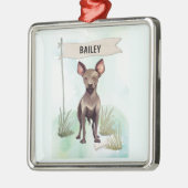 Xoloitzcuintli Watercolor Personalized Dog メタルオーナメント (左)