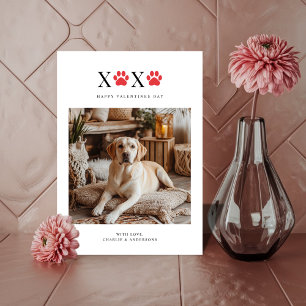 Xoxo Pawprint Retrieverおもしろい犬フォトバレンタイン シーズンカード