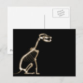 XRAY PUPY DOG SKELETON SITTING – セピア ポストカード (正面/裏面)