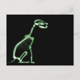 XRAY PUPY DOG SKELETON SITTING - GREEN ポストカード