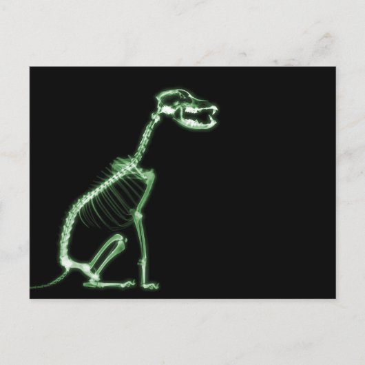 XRAY PUPY DOG SKELETON SITTING - GREEN ポストカード (正面)