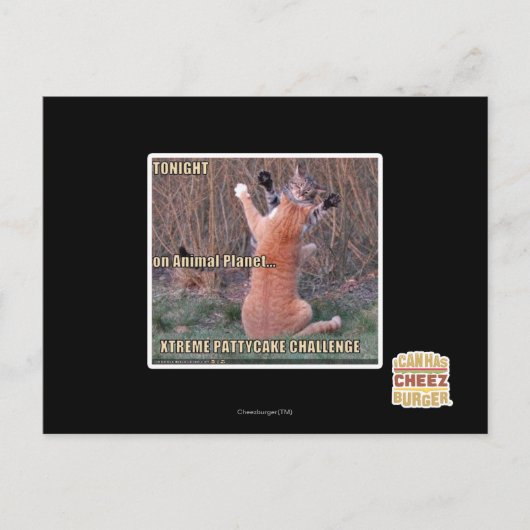 Xtreme PattyCakeチャレンジ ポストカード (正面)