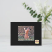 Xtreme PattyCakeチャレンジ ポストカード (スタンド正面)