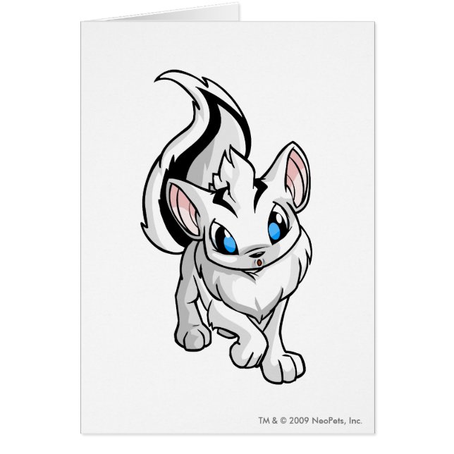 Xweetokの白 (正面)