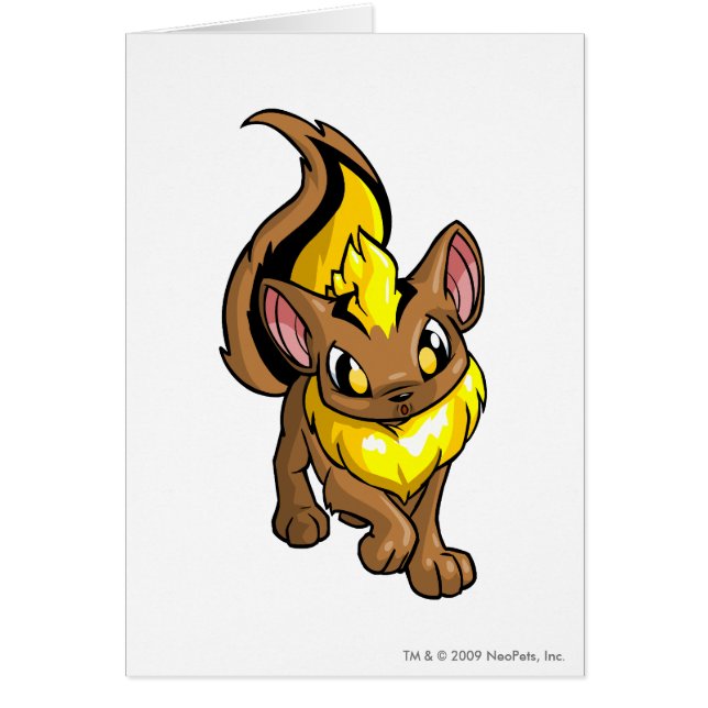 Xweetokの黄色 (正面)