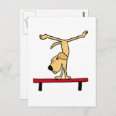 XX – バランスビームラブラドールの黄色い漫画 ポストカード (正面/裏面)