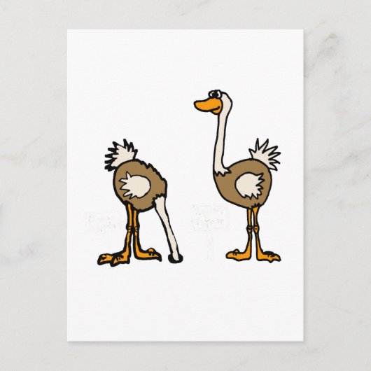 XX – 砂にダチョウ ポストカード (正面)