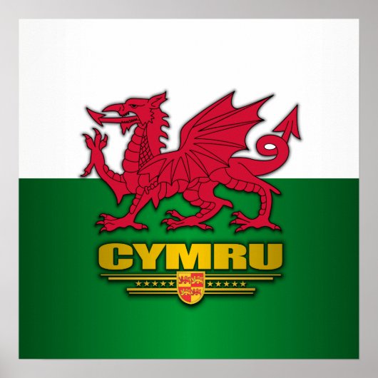 Yドレイグゴック ポスター (正面)