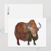 Y.ヤク ポストカード (正面/裏面)