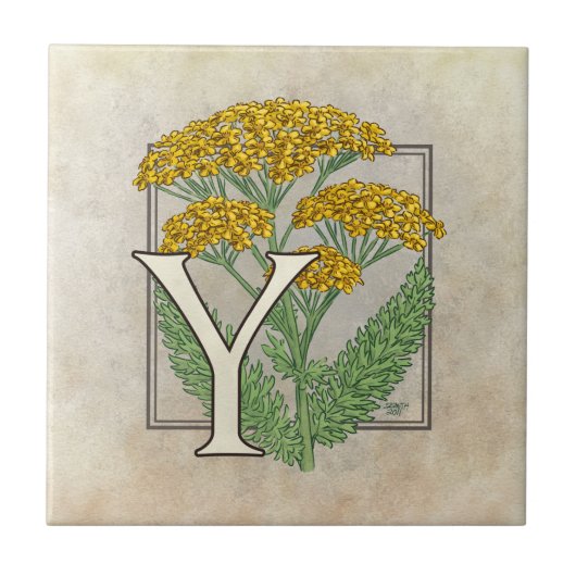 Y for Yarrow FlowerフローラMonogram Art タイル (正面)