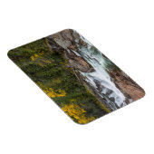 Yaak秋in秋Kootenai National マグネット (右側)