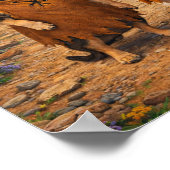 "Yabba, Dabba!" ポスター (角)