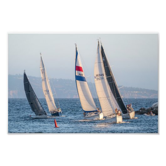 Yacht Race - Marina Del Rey, CA フォトプリント (正面)