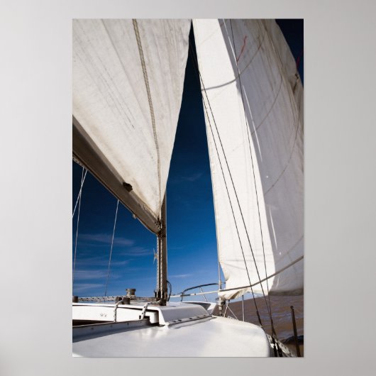 Yacht sails and sky ポスター (正面)