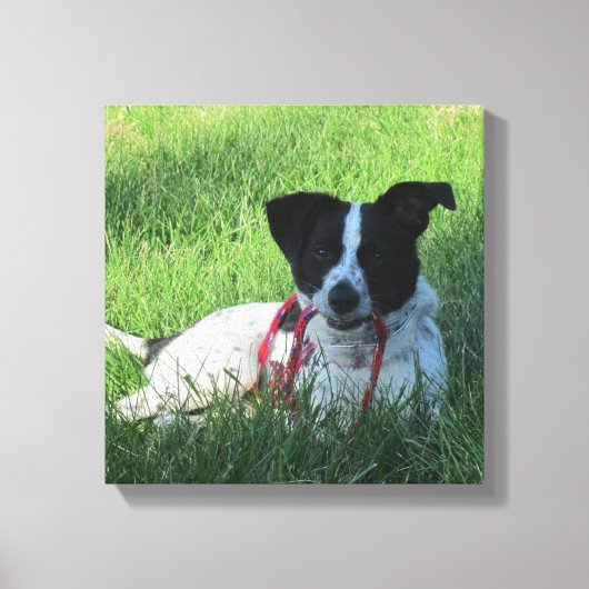 Yahtzee The Dog with Leash Canvas Print キャンバスプリント (正面)