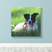 Yahtzee The Dog with Leash Canvas Print キャンバスプリント (インサイチュ (ウッドフロア))