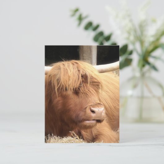 Yakはがき ポストカード (スタンド正面)