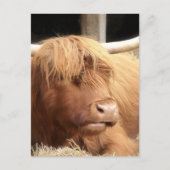 Yakはがき ポストカード (正面)