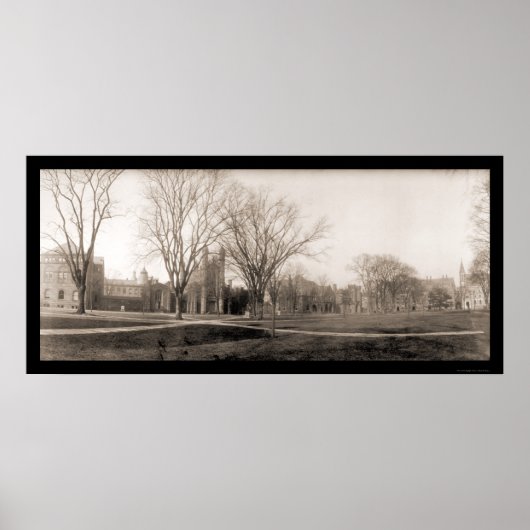 Yale Campus Birdseye写真1902 ポスター (正面)